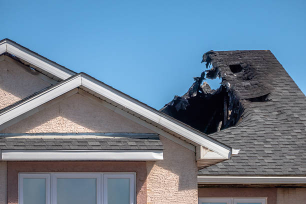 Top rated local Board Up Services specialists in Dennison, OH